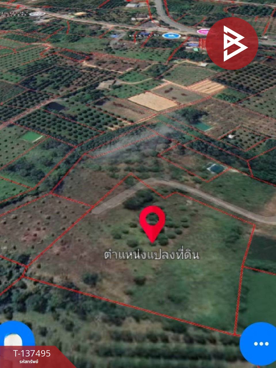 ขายที่ดิน เนื้อที่ 7 ไร่ 1 งาน 76 ตร.วา เขาคิชฌกูฏ จันทบุรี 7