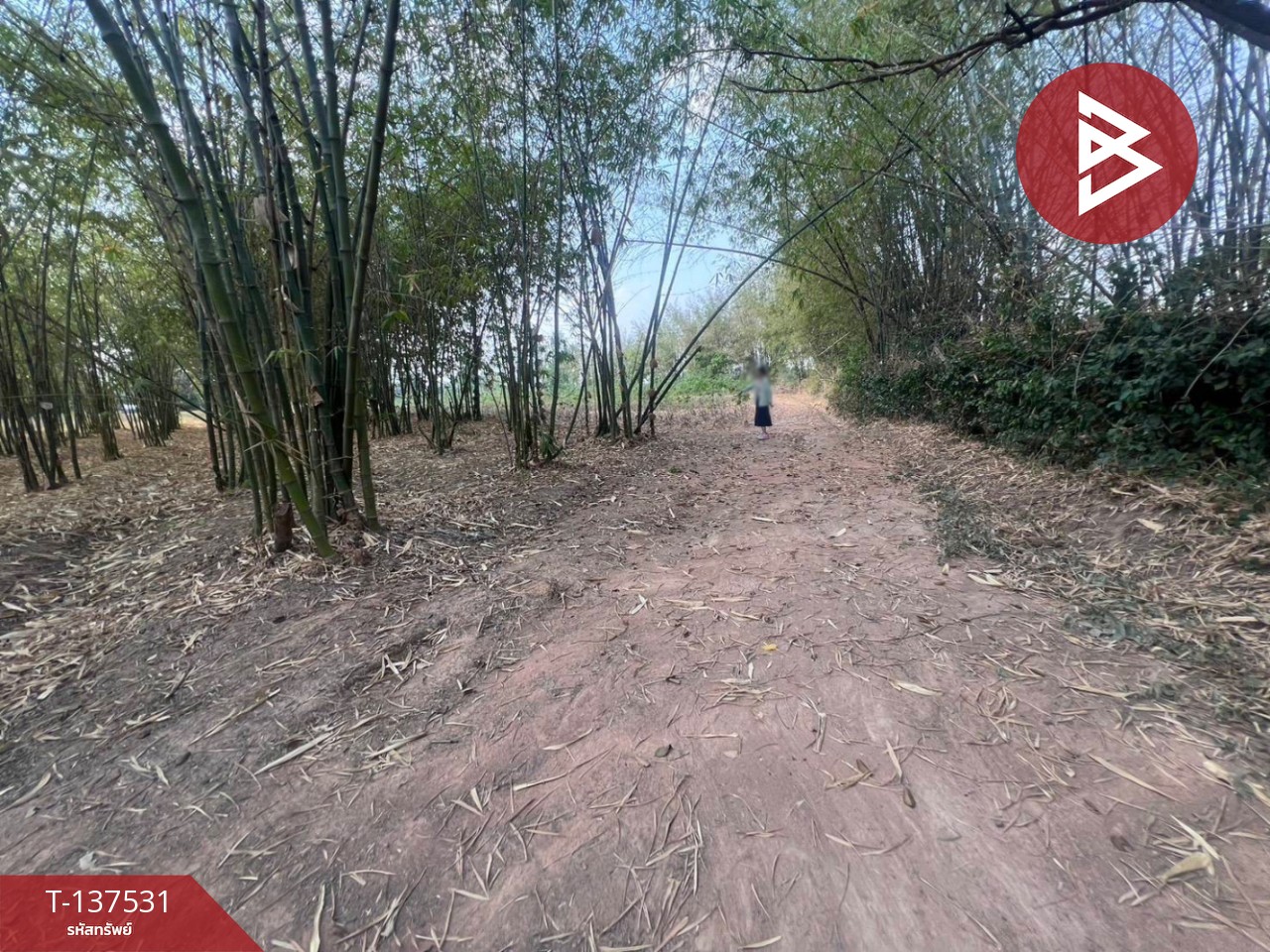 ขายที่ดิน เนื้อที่ 7 ไร่ บ้านหว้า ขอนแก่น 5