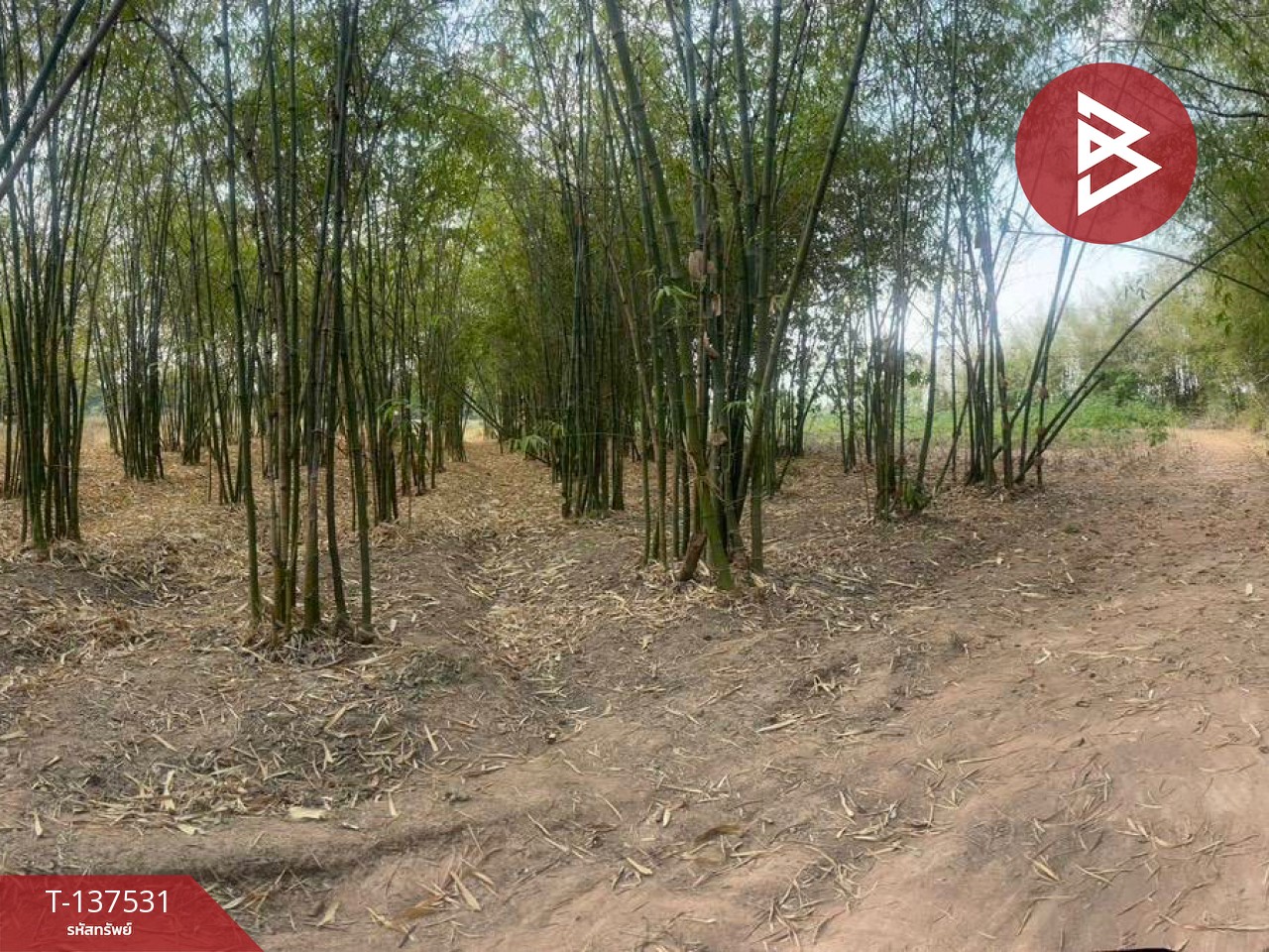 ขายที่ดิน เนื้อที่ 7 ไร่ บ้านหว้า ขอนแก่น 2