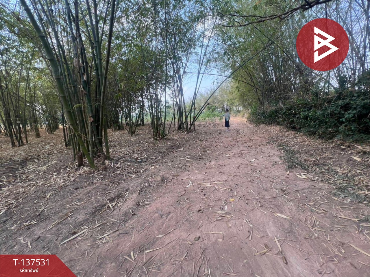 ขายที่ดิน เนื้อที่ 7 ไร่ บ้านหว้า ขอนแก่น 3