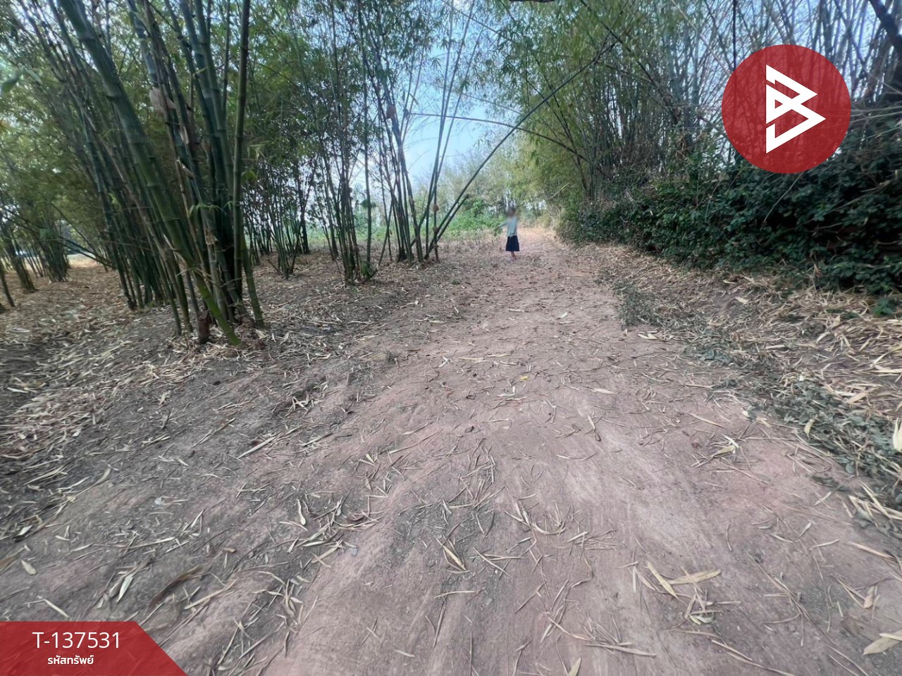 ขายที่ดิน เนื้อที่ 7 ไร่ บ้านหว้า ขอนแก่น 4