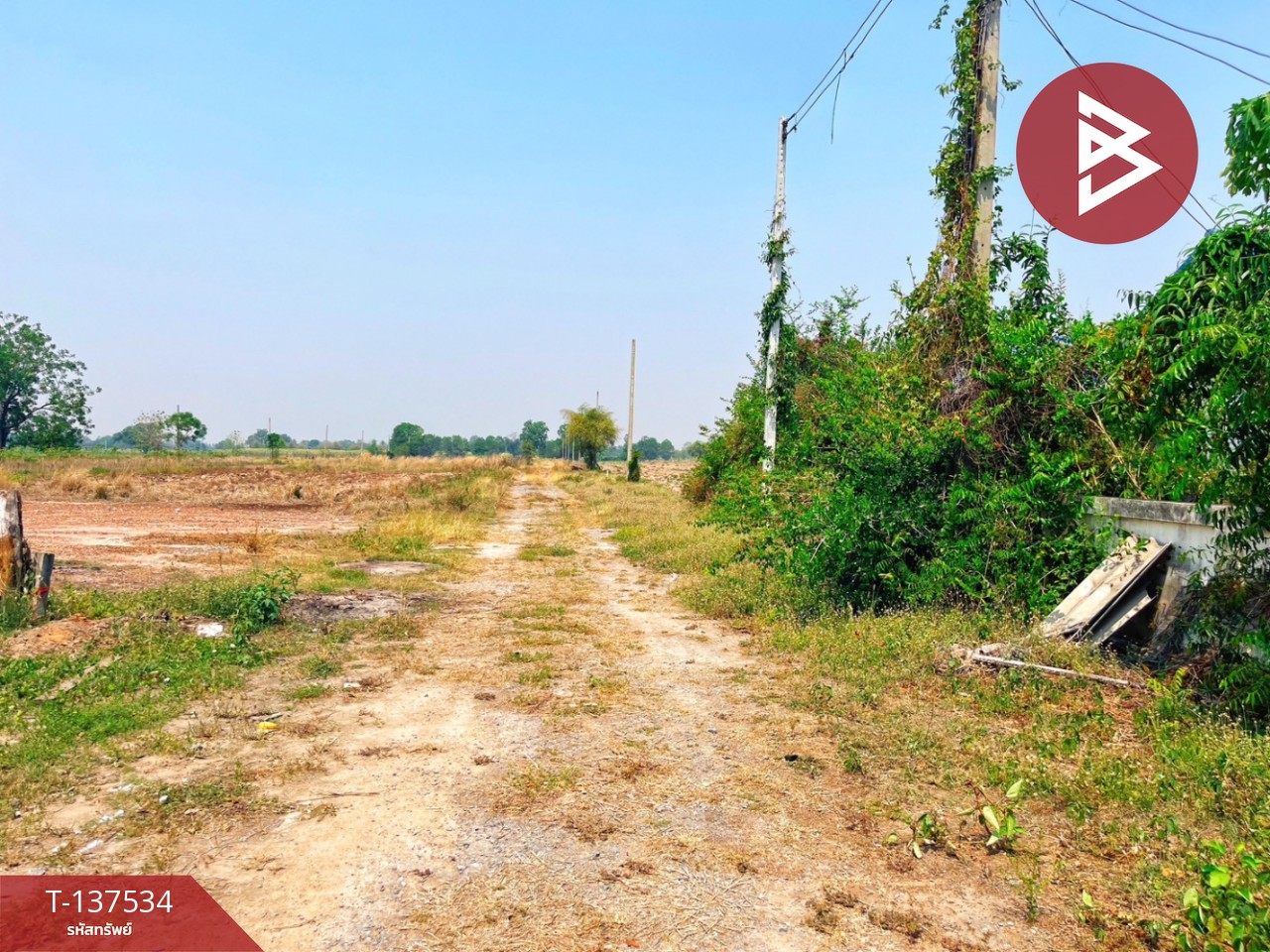 ขายบ้านเดี่ยว เนื้อที่ 50 ตร.วา เนินขาม ชัยนาท 13