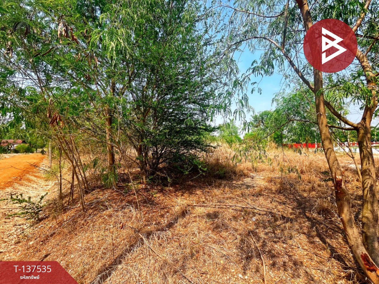 ขายที่ดิน เนื้อที่ 1 ไร่ 20.1 ตารางวา หนองฉาง อุทัยธานี ทำเลดี ราคาถูก 9