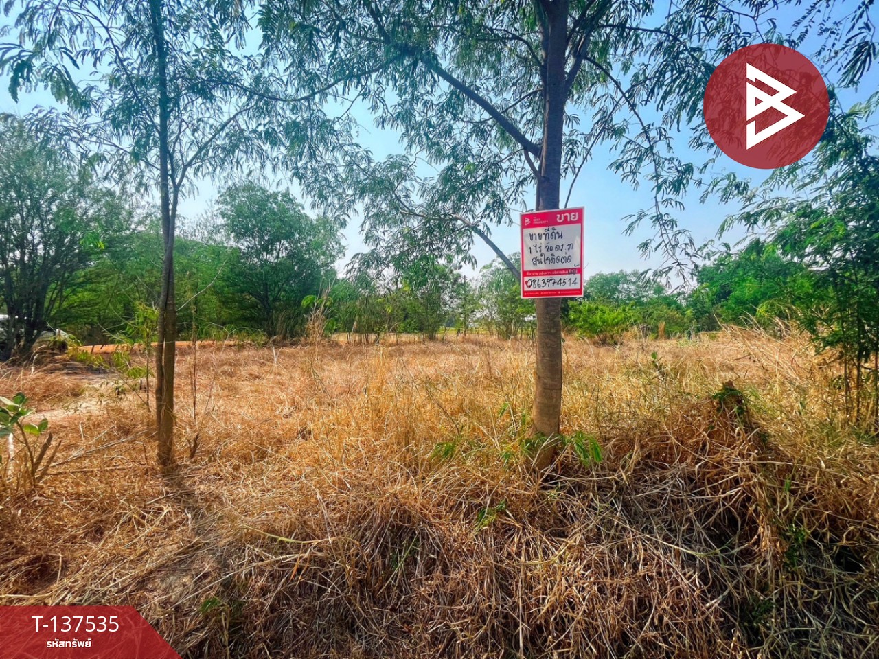 ขายที่ดิน เนื้อที่ 1 ไร่ 20.1 ตารางวา หนองฉาง อุทัยธานี ทำเลดี ราคาถูก 8