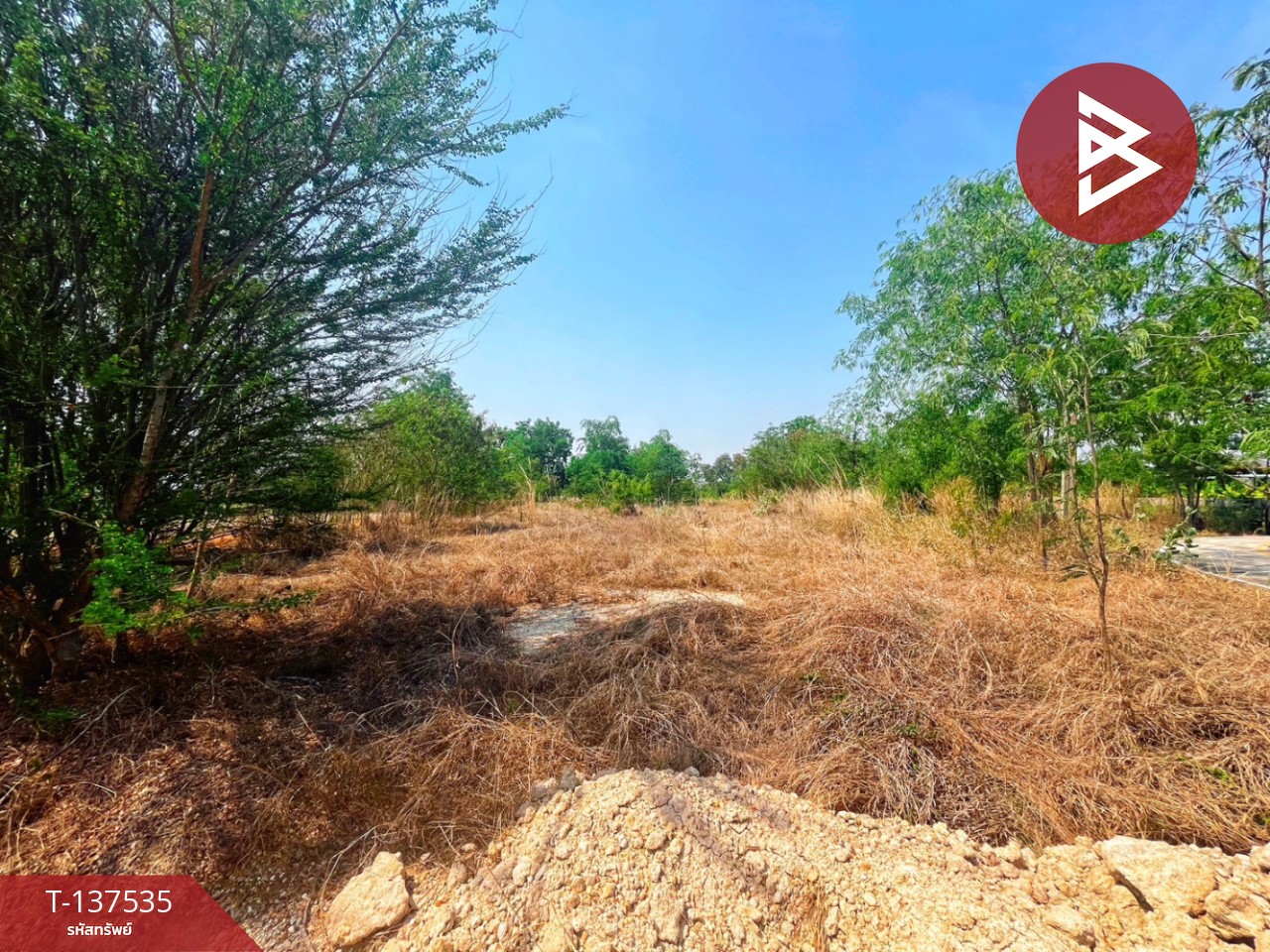 ขายที่ดิน เนื้อที่ 1 ไร่ 20.1 ตารางวา หนองฉาง อุทัยธานี ทำเลดี ราคาถูก 5