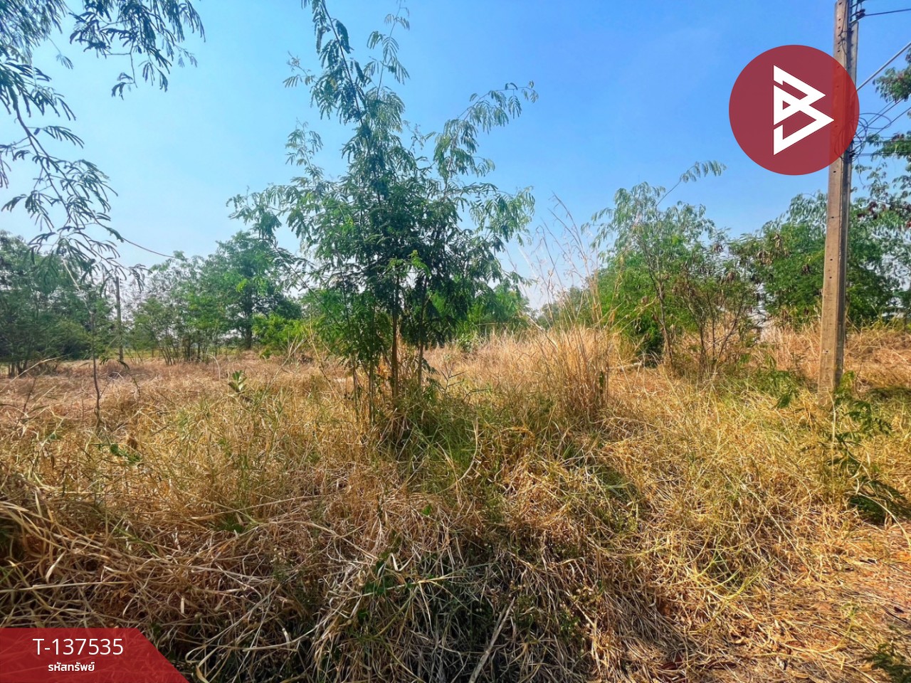 ขายที่ดิน เนื้อที่ 1 ไร่ 20.1 ตารางวา หนองฉาง อุทัยธานี ทำเลดี ราคาถูก 3