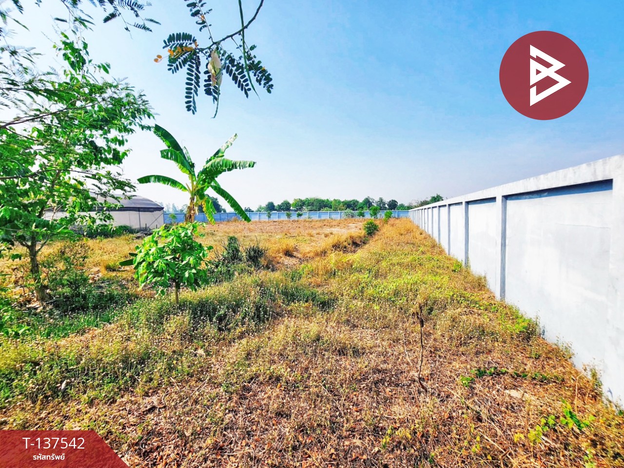 ขายบ้านเดี่ยวพร้อมที่ดิน เนื้อที่ 2 ไร่ 1 งาน 66.0 ตารางวา ดอนเจดีย์ สุพรรณบุรี 4