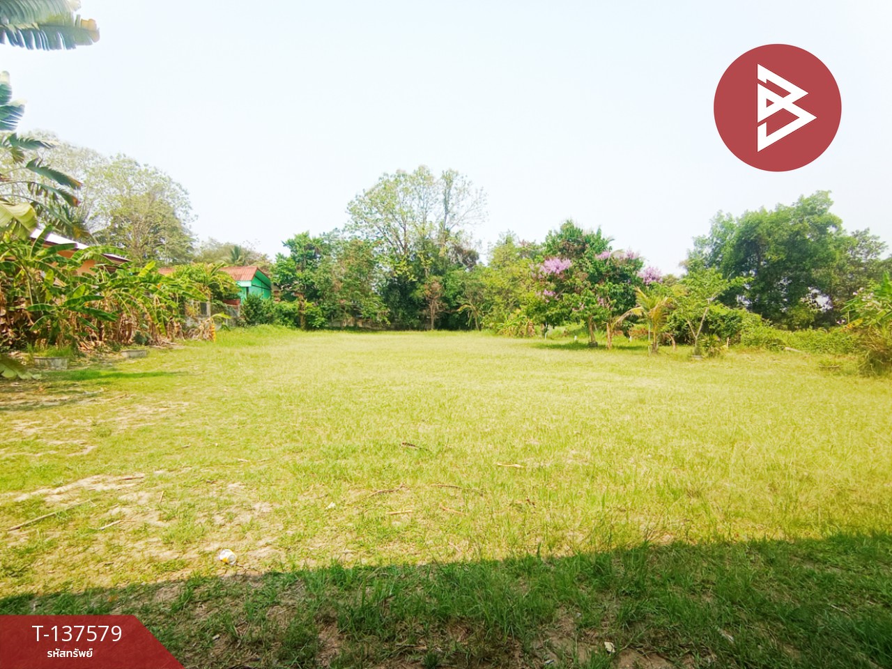 ขายที่ดิน เนื้อที่ 385 ตร.วา พังโคน สกลนคร 5