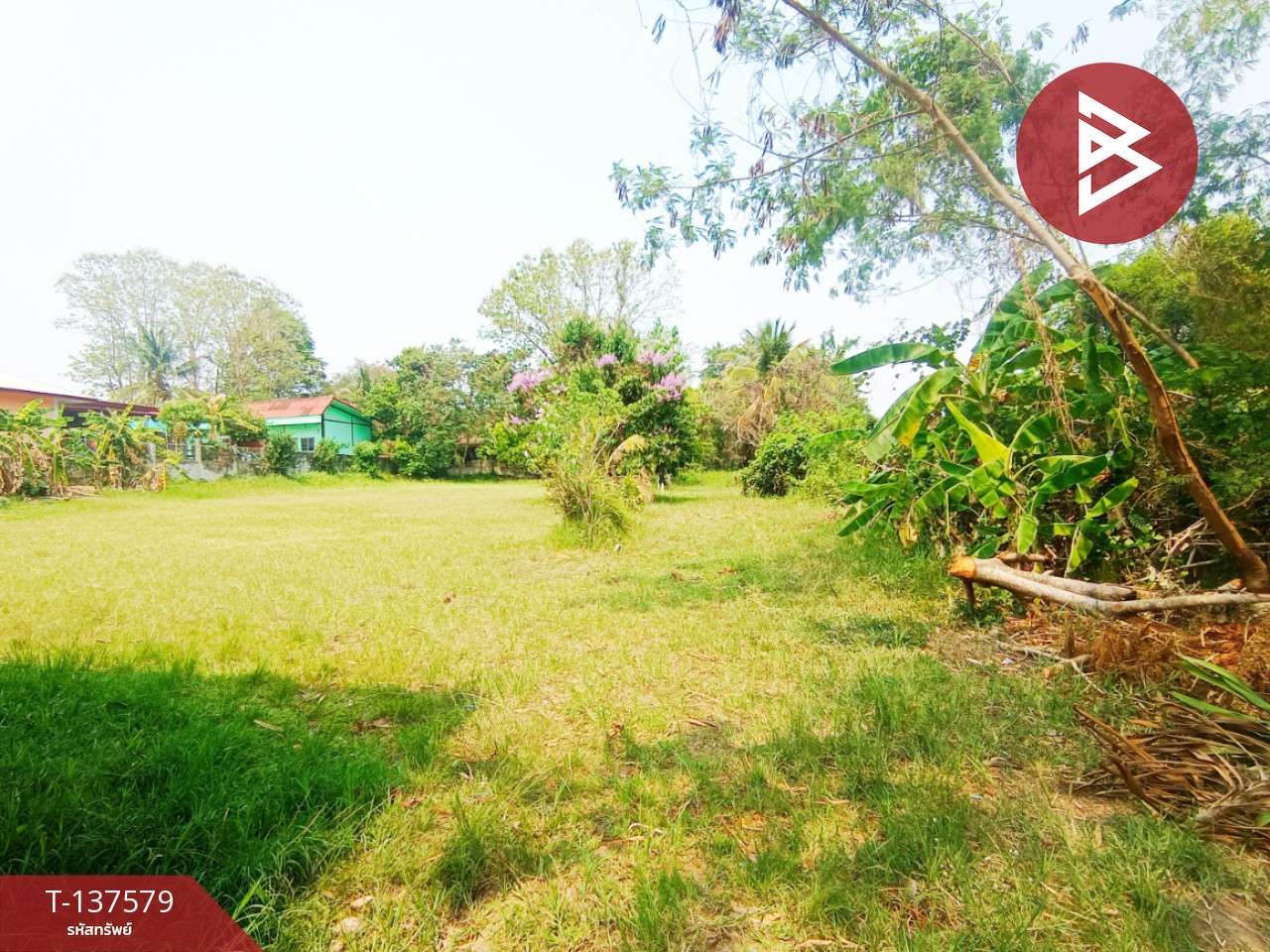 ขายที่ดิน เนื้อที่ 385 ตร.วา พังโคน สกลนคร 1