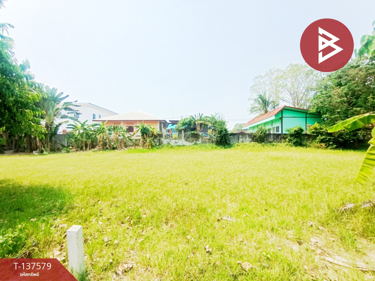 ขายที่ดิน เนื้อที่ 385 ตร.วา พังโคน สกลนคร 2