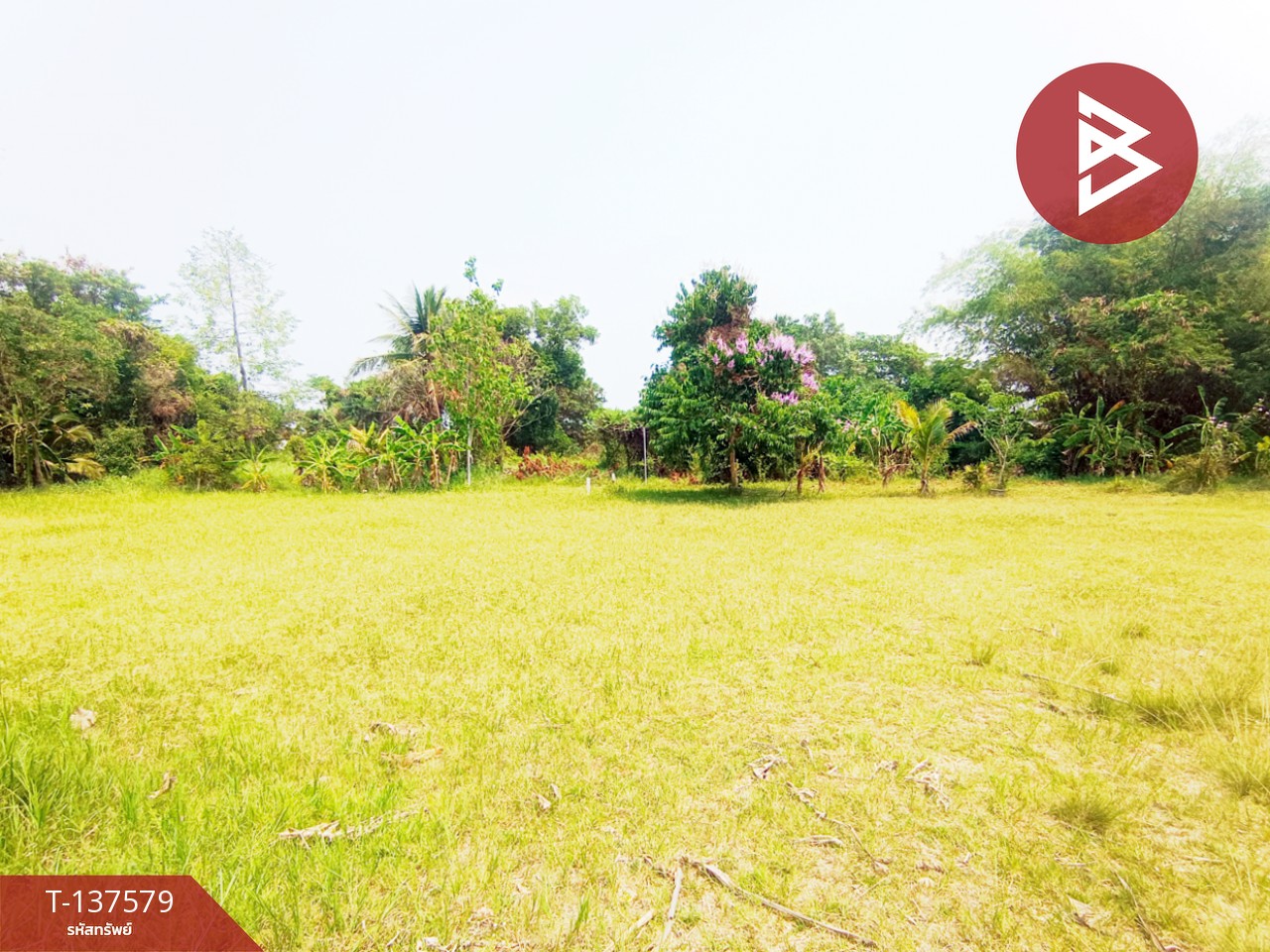 ขายที่ดิน เนื้อที่ 385 ตร.วา พังโคน สกลนคร 4