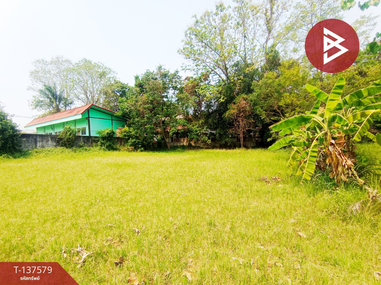 ขายที่ดิน เนื้อที่ 385 ตร.วา พังโคน สกลนคร 7