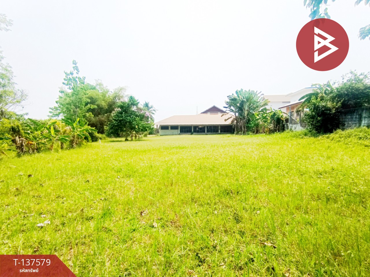 ขายที่ดิน เนื้อที่ 385 ตร.วา พังโคน สกลนคร 3