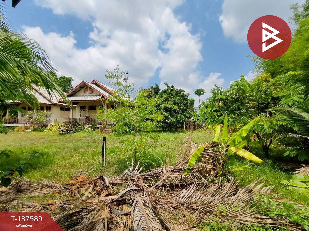 ขาย/เช่าบ้านเดี่ยวพร้อมที่ดิน เนื้อที่  1 ไร่ 2 งาน 35 ตร.วา วัดใหม่ จันทบุรี 9