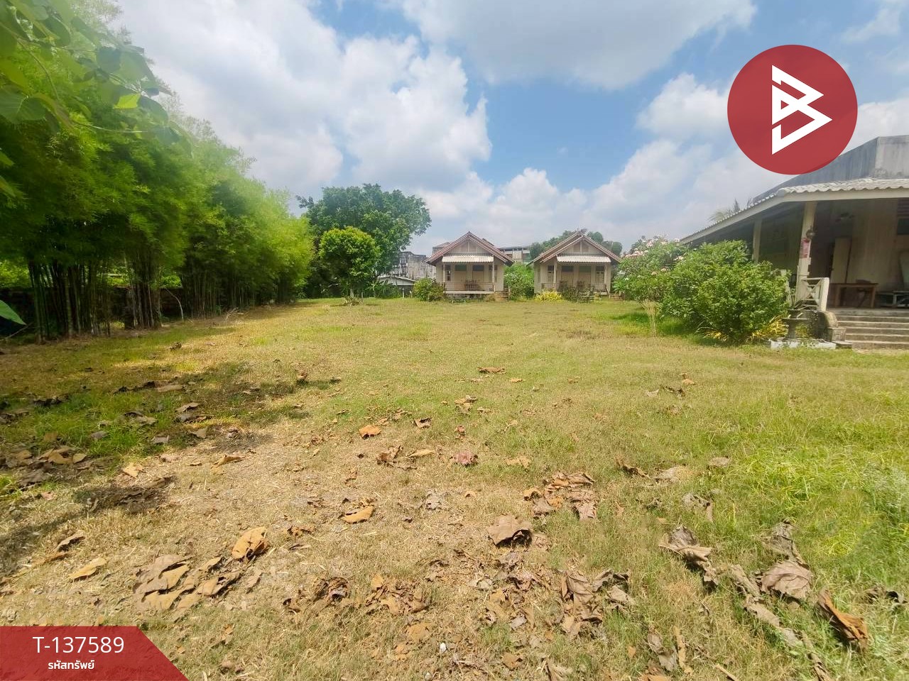 ขาย/เช่าบ้านเดี่ยวพร้อมที่ดิน เนื้อที่  1 ไร่ 2 งาน 35 ตร.วา วัดใหม่ จันทบุรี 6