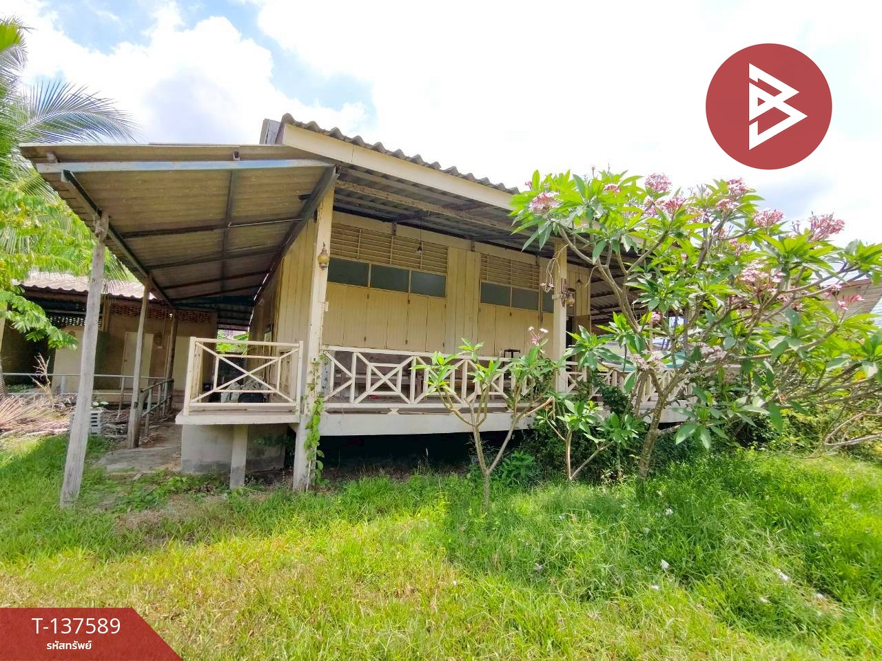 ขาย/เช่าบ้านเดี่ยวพร้อมที่ดิน เนื้อที่  1 ไร่ 2 งาน 35 ตร.วา วัดใหม่ จันทบุรี 4