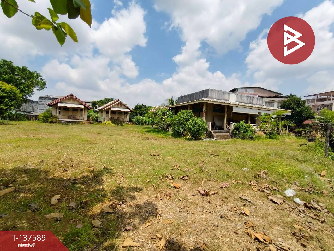 ขาย/เช่าบ้านเดี่ยวพร้อมที่ดิน เนื้อที่  1 ไร่ 2 งาน 35 ตร.วา วัดใหม่ จันทบุรี 10