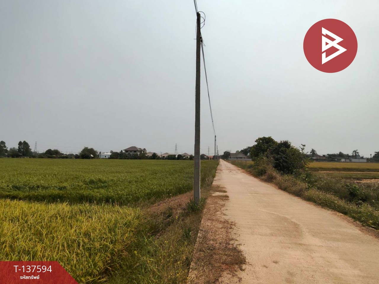 ขายที่ดิน เนื้อที่ 3 ไร่ 1 งาน 65.8 ตารางวา ต.บ้านกร่าง พิษณุโลก 9