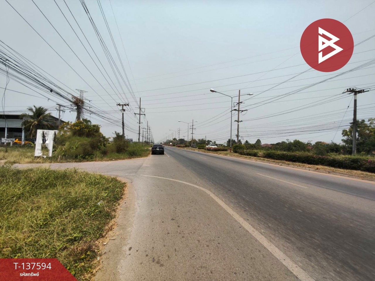 ขายที่ดิน เนื้อที่ 3 ไร่ 1 งาน 65.8 ตารางวา ต.บ้านกร่าง พิษณุโลก 11