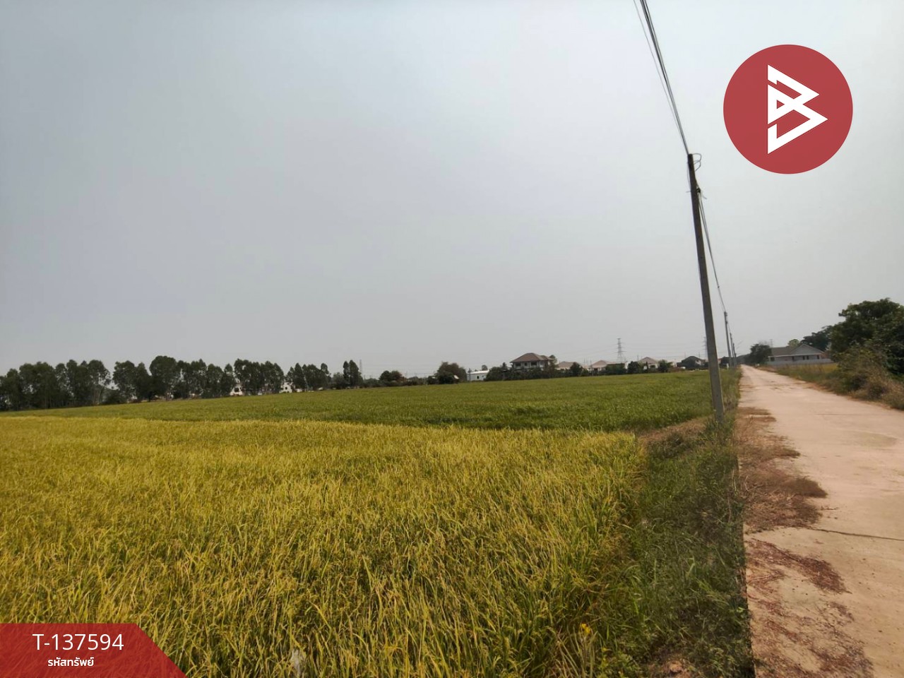 ขายที่ดิน เนื้อที่ 3 ไร่ 1 งาน 65.8 ตารางวา ต.บ้านกร่าง พิษณุโลก 4