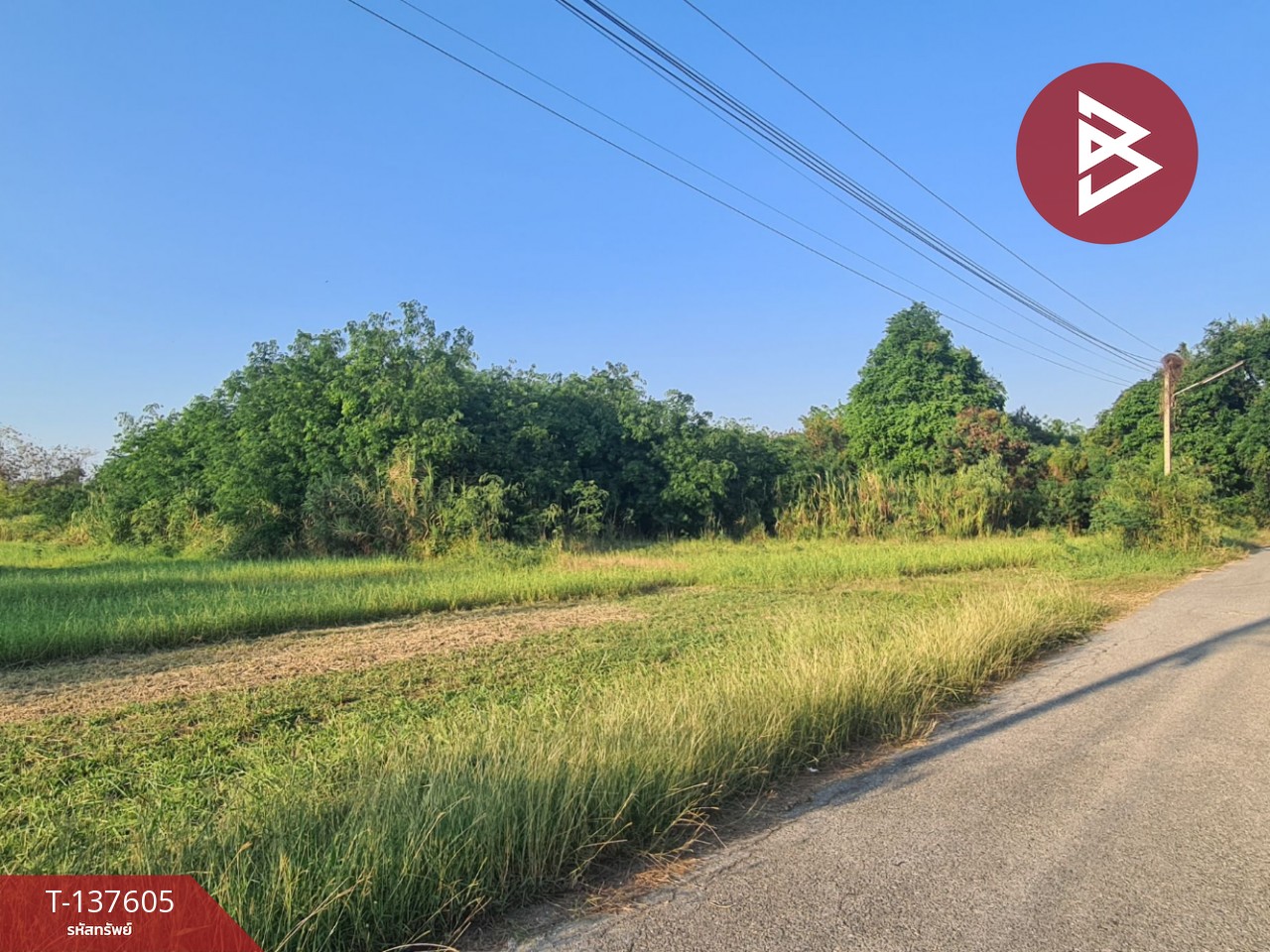 ขายที่ดิน เนื้อที่ 4 ไร่ 3 งาน 17 ตร.วา บ้านโป่ง ราชบุรี 2