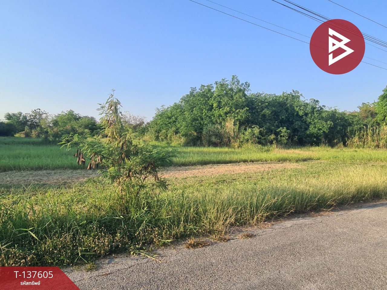 ขายที่ดิน เนื้อที่ 4 ไร่ 3 งาน 17 ตร.วา บ้านโป่ง ราชบุรี 3