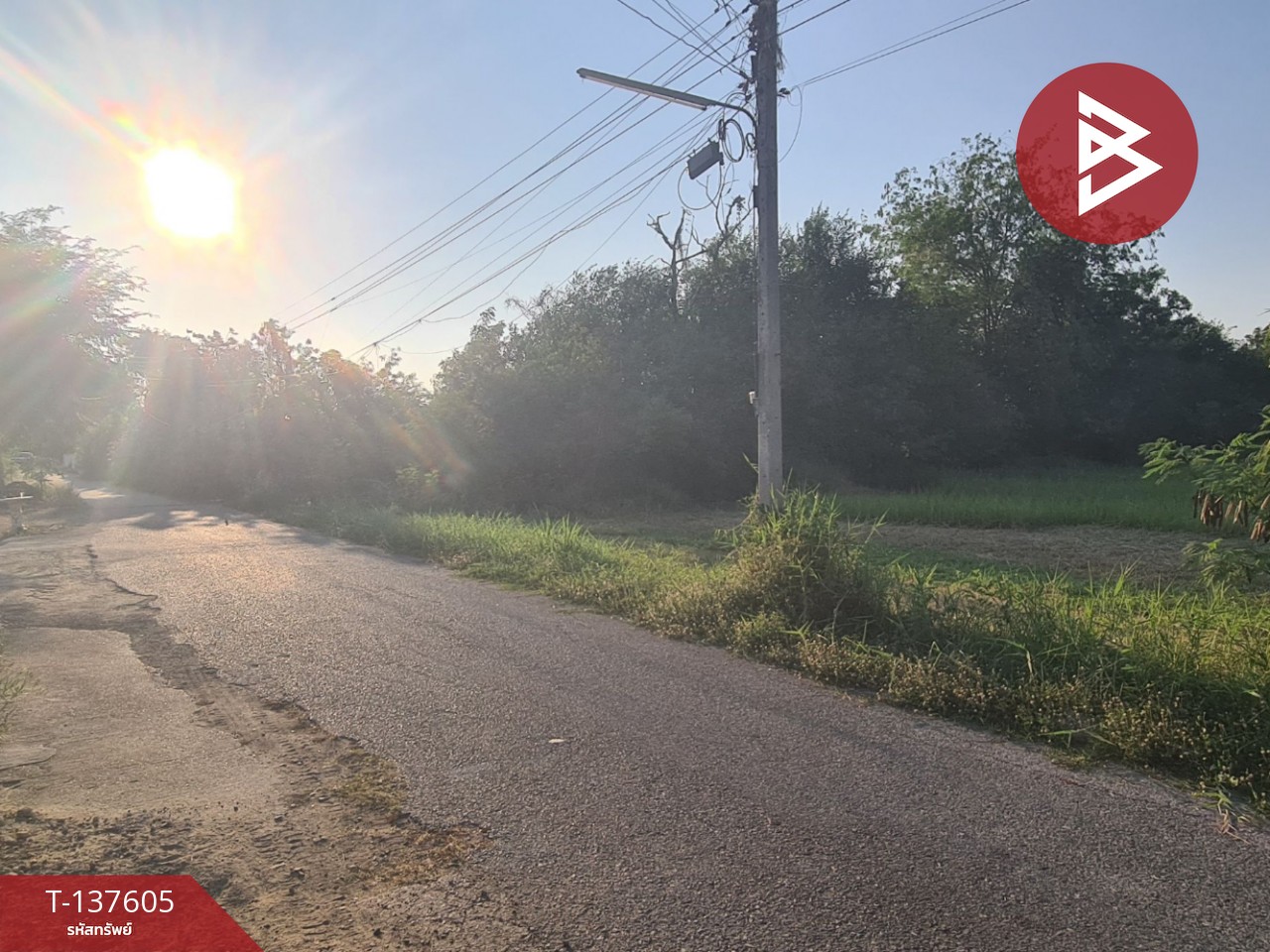 ขายที่ดิน เนื้อที่ 4 ไร่ 3 งาน 17 ตร.วา บ้านโป่ง ราชบุรี 4