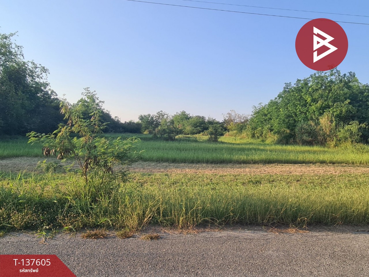 ขายที่ดิน เนื้อที่ 4 ไร่ 3 งาน 17 ตร.วา บ้านโป่ง ราชบุรี 1