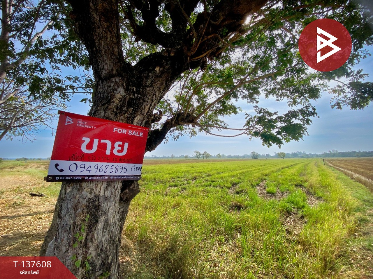 ขายที่ดิน เนื้อที่ 5 ไร่ 2 งาน 10 ตารางวา น้ำพอง ขอนแก่น 1