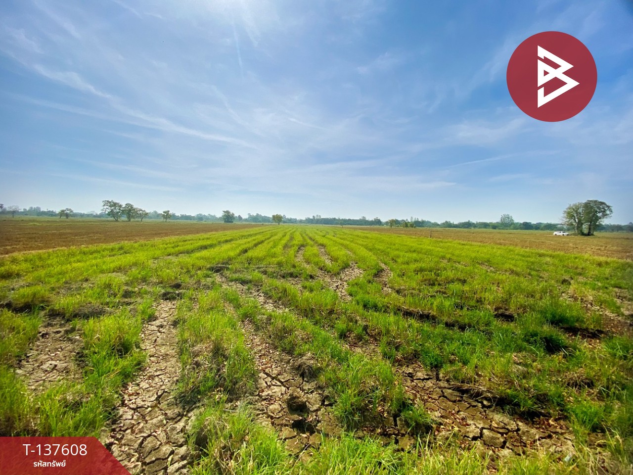 ขายที่ดิน เนื้อที่ 5 ไร่ 2 งาน 10 ตารางวา น้ำพอง ขอนแก่น 2