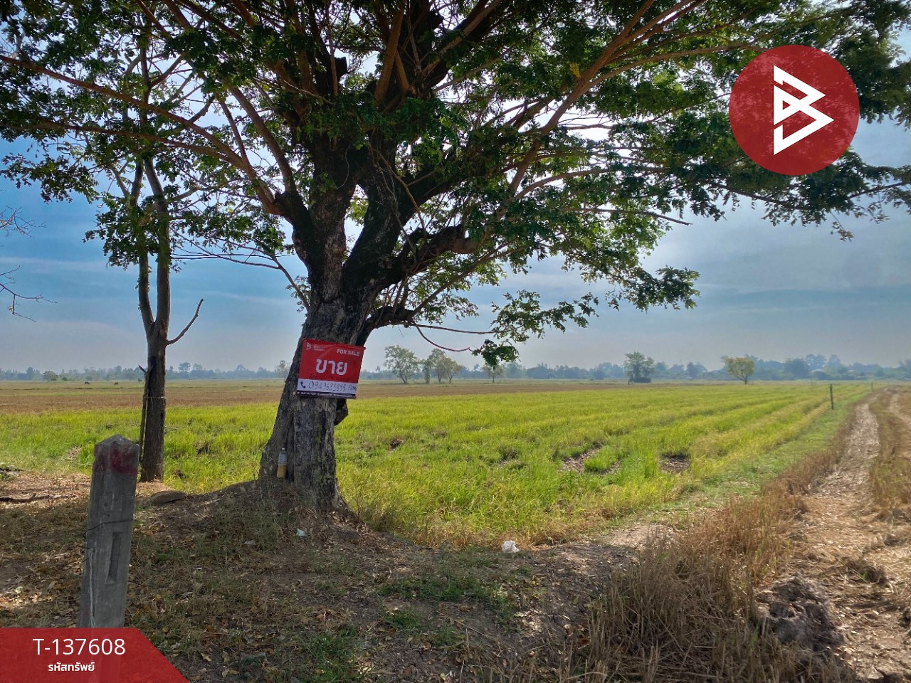 ขายที่ดิน เนื้อที่ 5 ไร่ 2 งาน 10 ตารางวา น้ำพอง ขอนแก่น 4