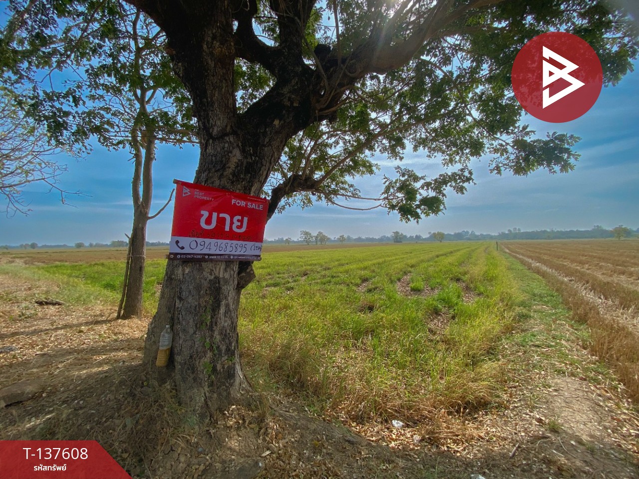 ขายที่ดิน เนื้อที่ 5 ไร่ 2 งาน 10 ตารางวา น้ำพอง ขอนแก่น 5