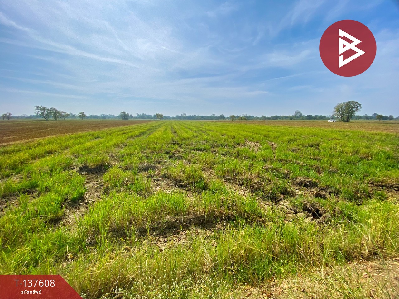 ขายที่ดิน เนื้อที่ 5 ไร่ 2 งาน 10 ตารางวา น้ำพอง ขอนแก่น 6