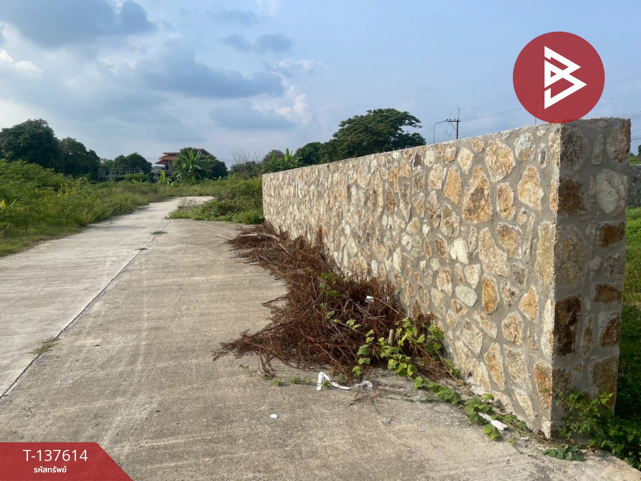 ขายที่ดินถมแล้ว พร้อมกำแพงหิน เนื้อที่ 122.8 ตร.วา เชิงเนิน ระยอง ทำเลดี 9