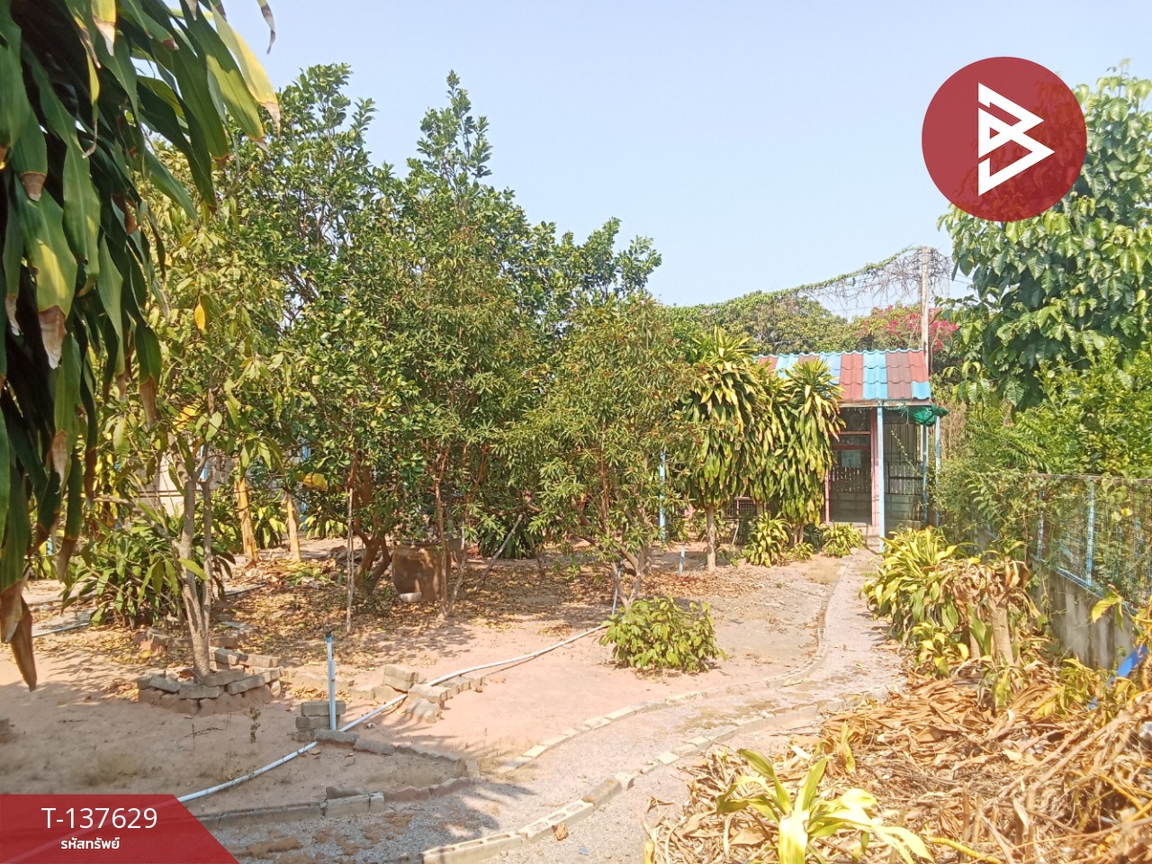 ขายบ้านเดี่ยว เนื้อที่ 200 ตารางวา ต.น้ำพุ เมืองราชบุรี 9