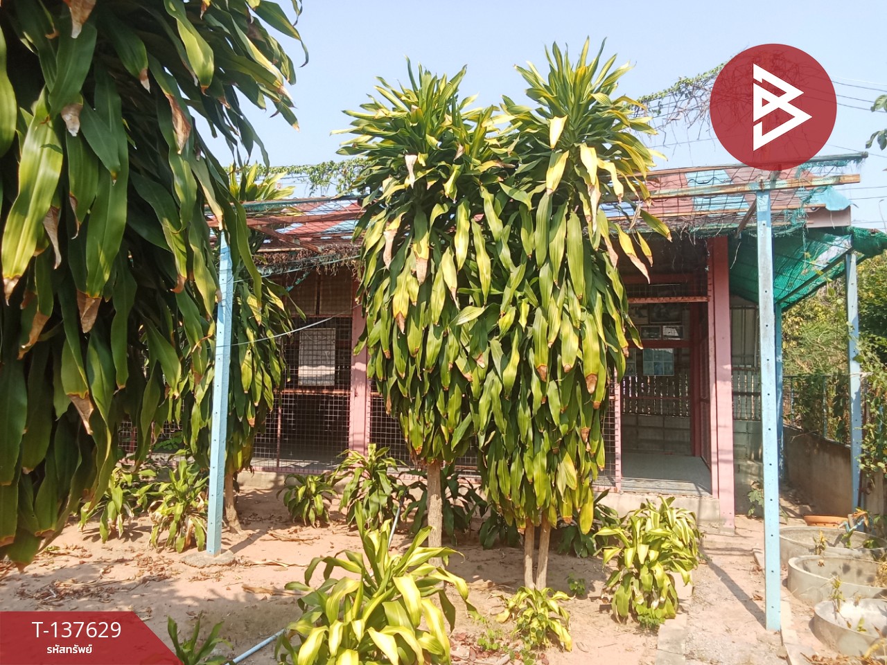 ขายบ้านเดี่ยว เนื้อที่ 200 ตารางวา ต.น้ำพุ เมืองราชบุรี 10