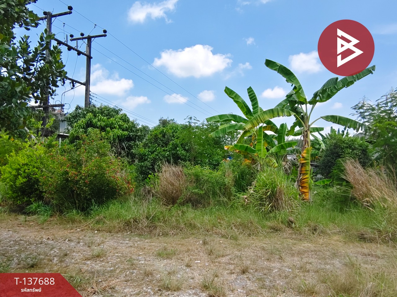 ขายที่ดิน เนื้อที่ 80 ตร.วา บ้านค่าย ระยอง 4