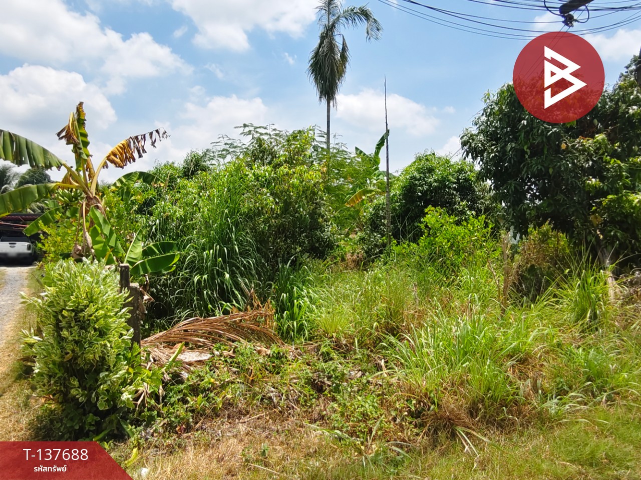 ขายที่ดิน เนื้อที่ 80 ตร.วา บ้านค่าย ระยอง 3