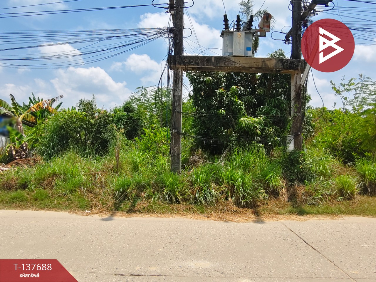 ขายที่ดิน เนื้อที่ 80 ตร.วา บ้านค่าย ระยอง 1