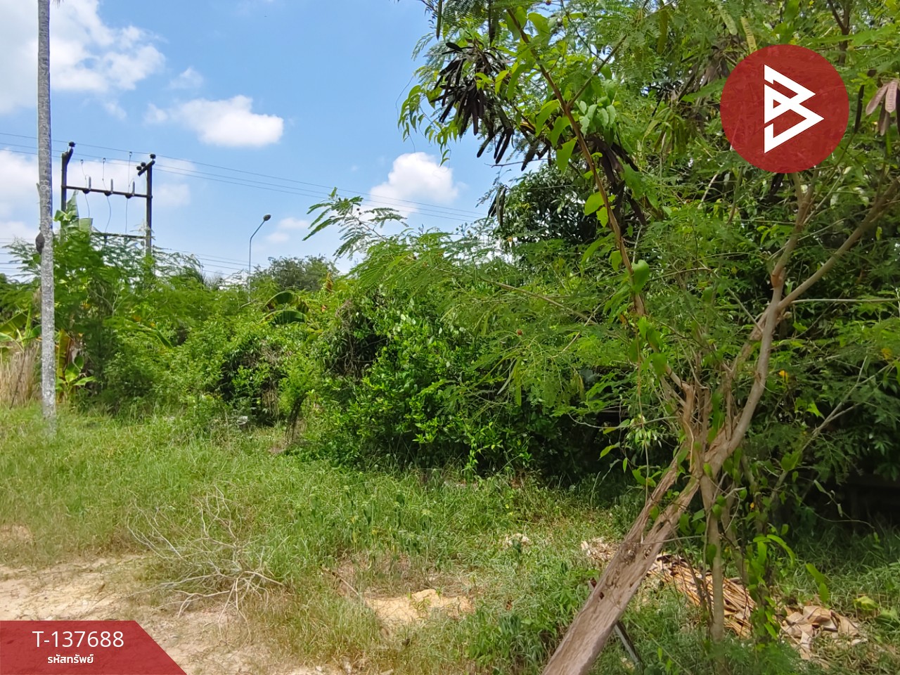 ขายที่ดิน เนื้อที่ 80 ตร.วา บ้านค่าย ระยอง 5