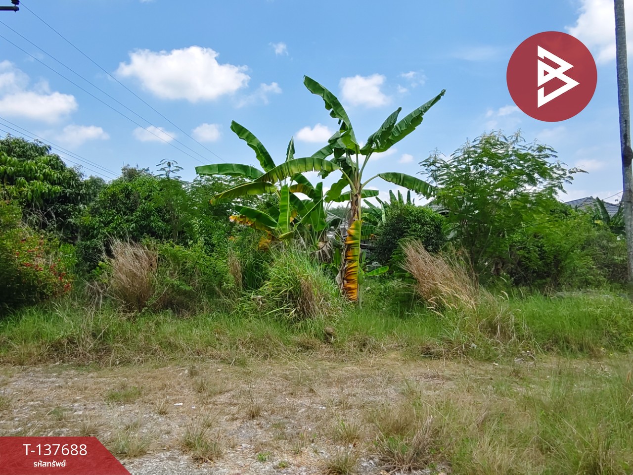 ขายที่ดิน เนื้อที่ 80 ตร.วา บ้านค่าย ระยอง 2