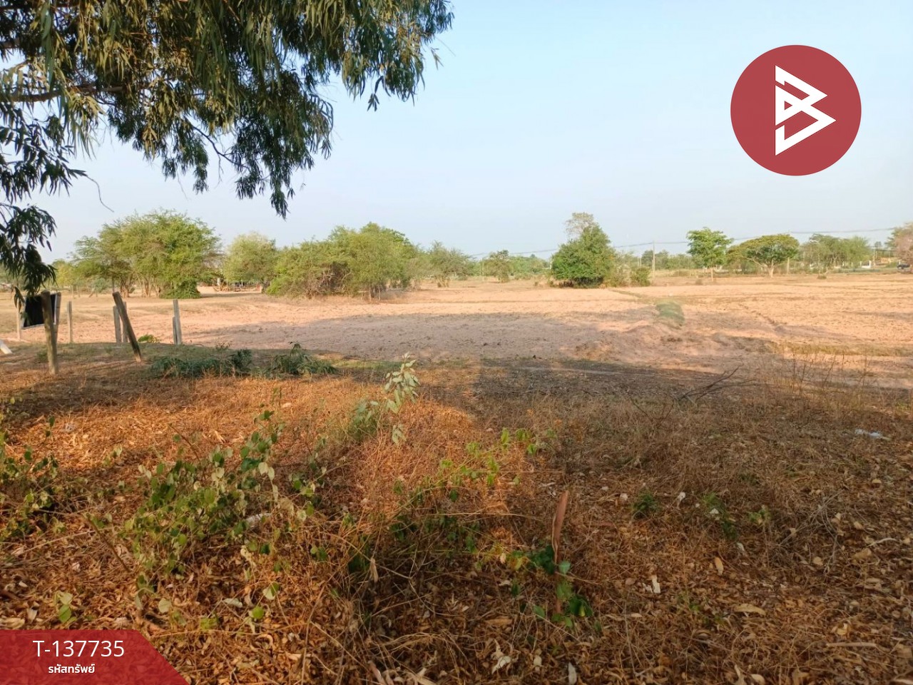 ขายด่วนที่ดินเปล่า เนื้อที่ 60 ตร.วา บ้านไผ่ ขอนแก่น 3