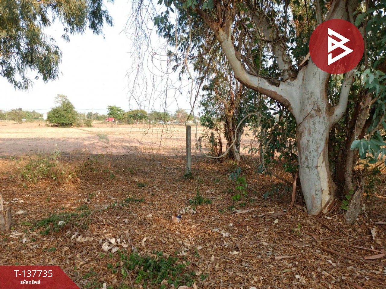 ขายด่วนที่ดินเปล่า เนื้อที่ 60 ตร.วา บ้านไผ่ ขอนแก่น 4