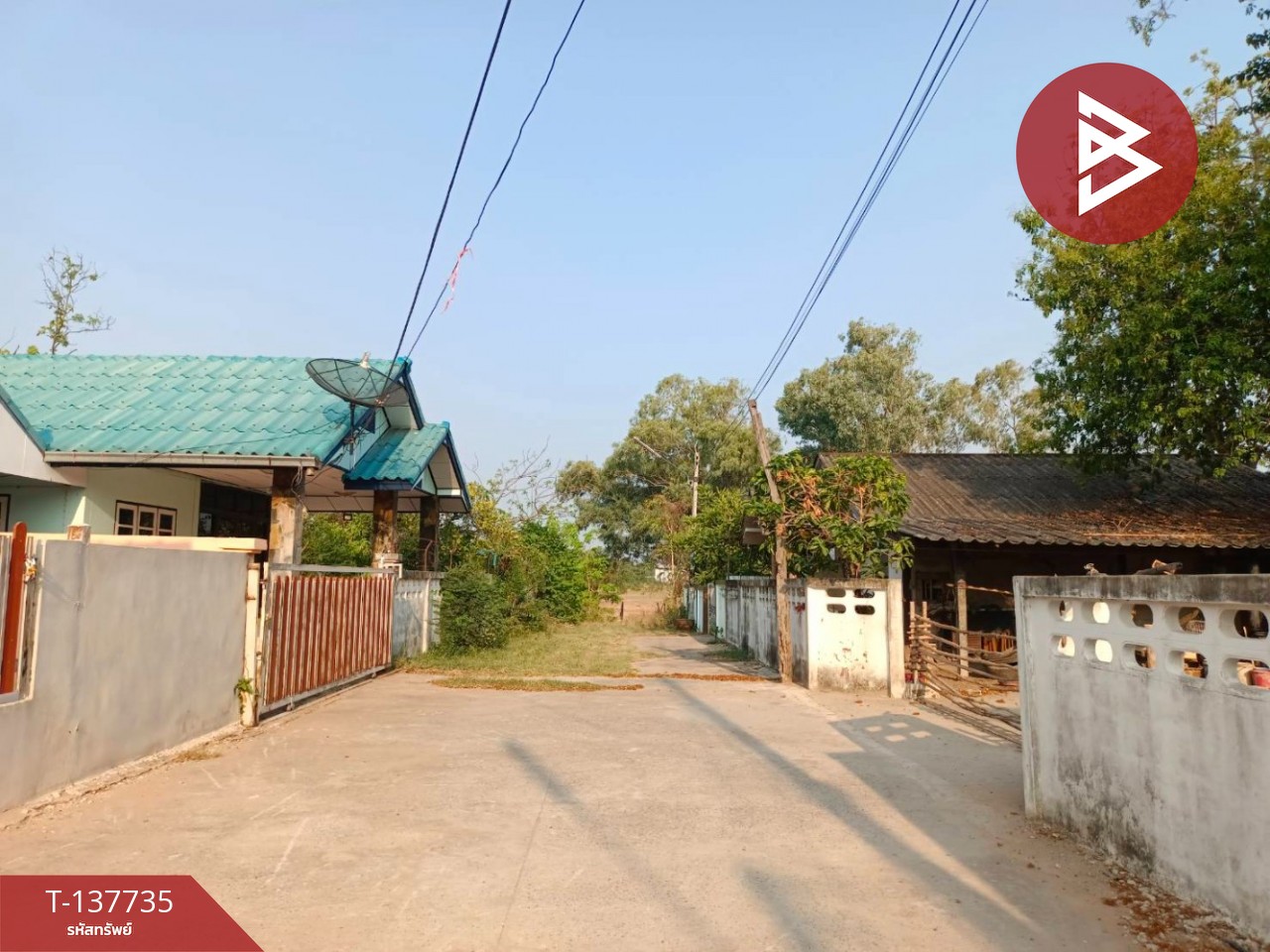 ขายด่วนที่ดินเปล่า เนื้อที่ 60 ตร.วา บ้านไผ่ ขอนแก่น 9