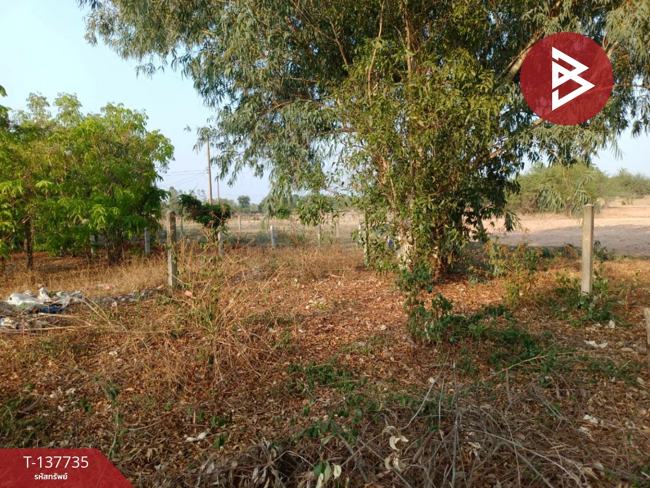 ขายด่วนที่ดินเปล่า เนื้อที่ 60 ตร.วา บ้านไผ่ ขอนแก่น 7