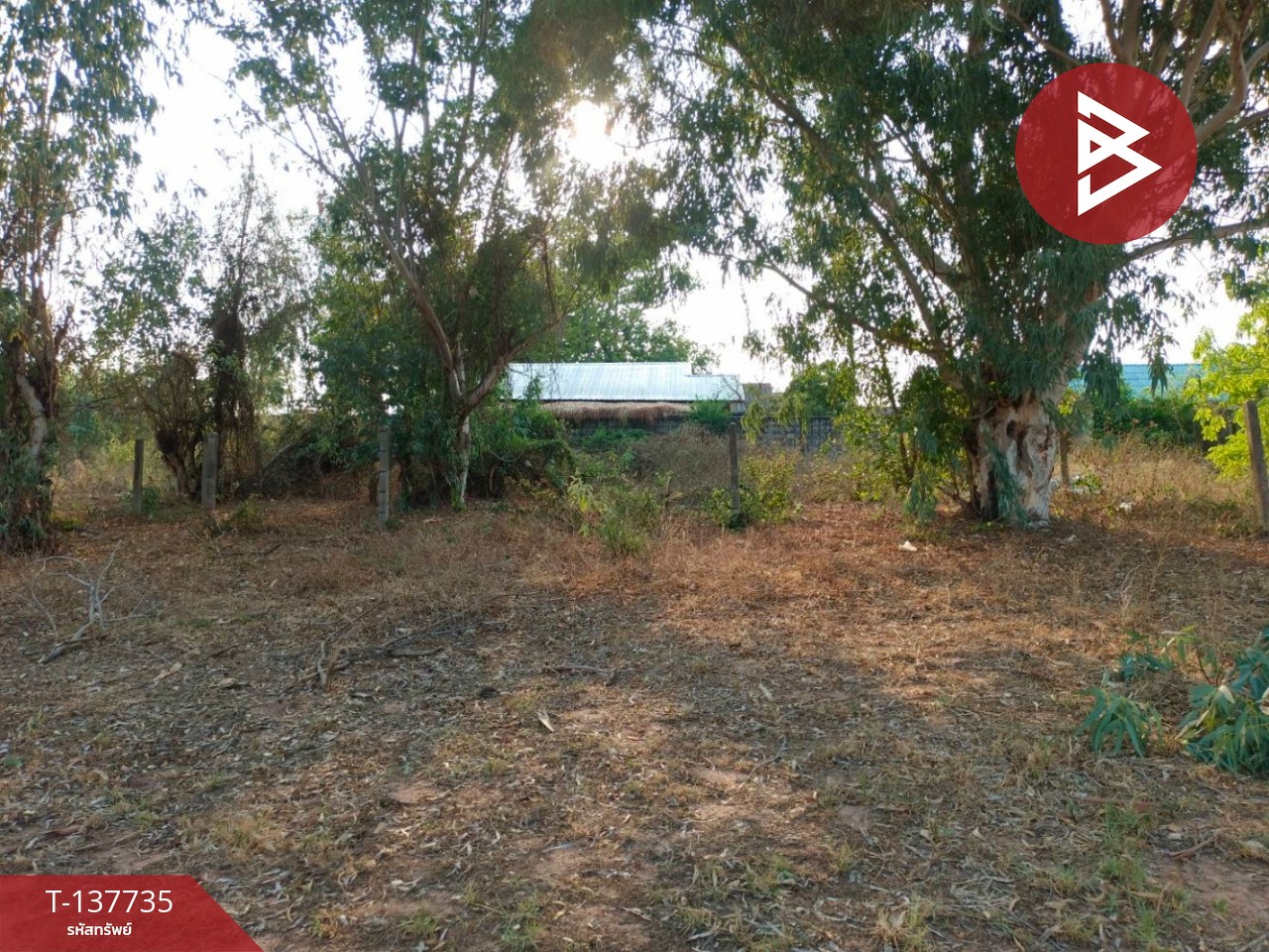 ขายด่วนที่ดินเปล่า เนื้อที่ 60 ตร.วา บ้านไผ่ ขอนแก่น 6