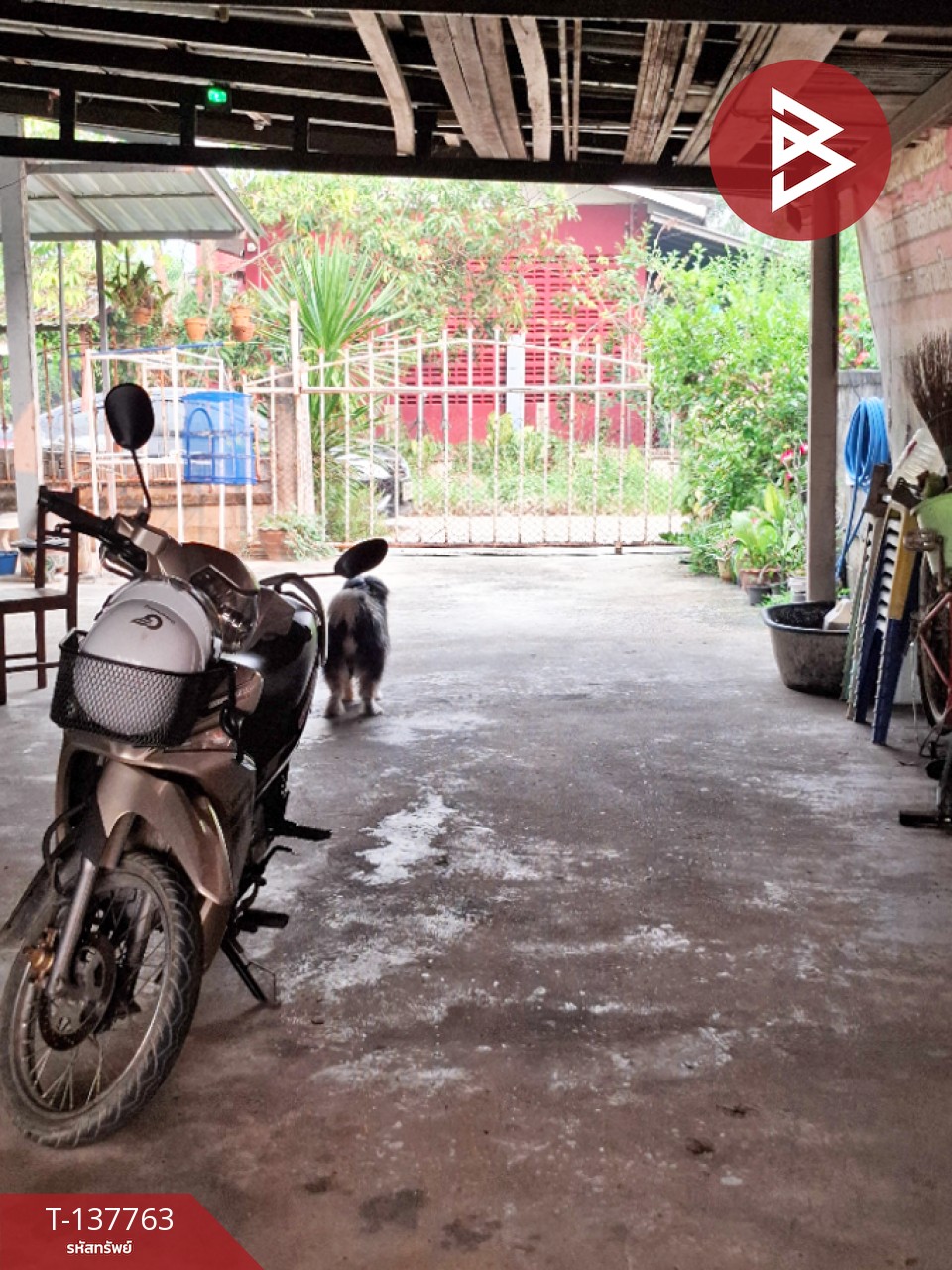 ขายบ้านเดี่ยวพร้อมที่ดิน เนื้อที่ 66 ตารางวา เทิง เชียงราย 4