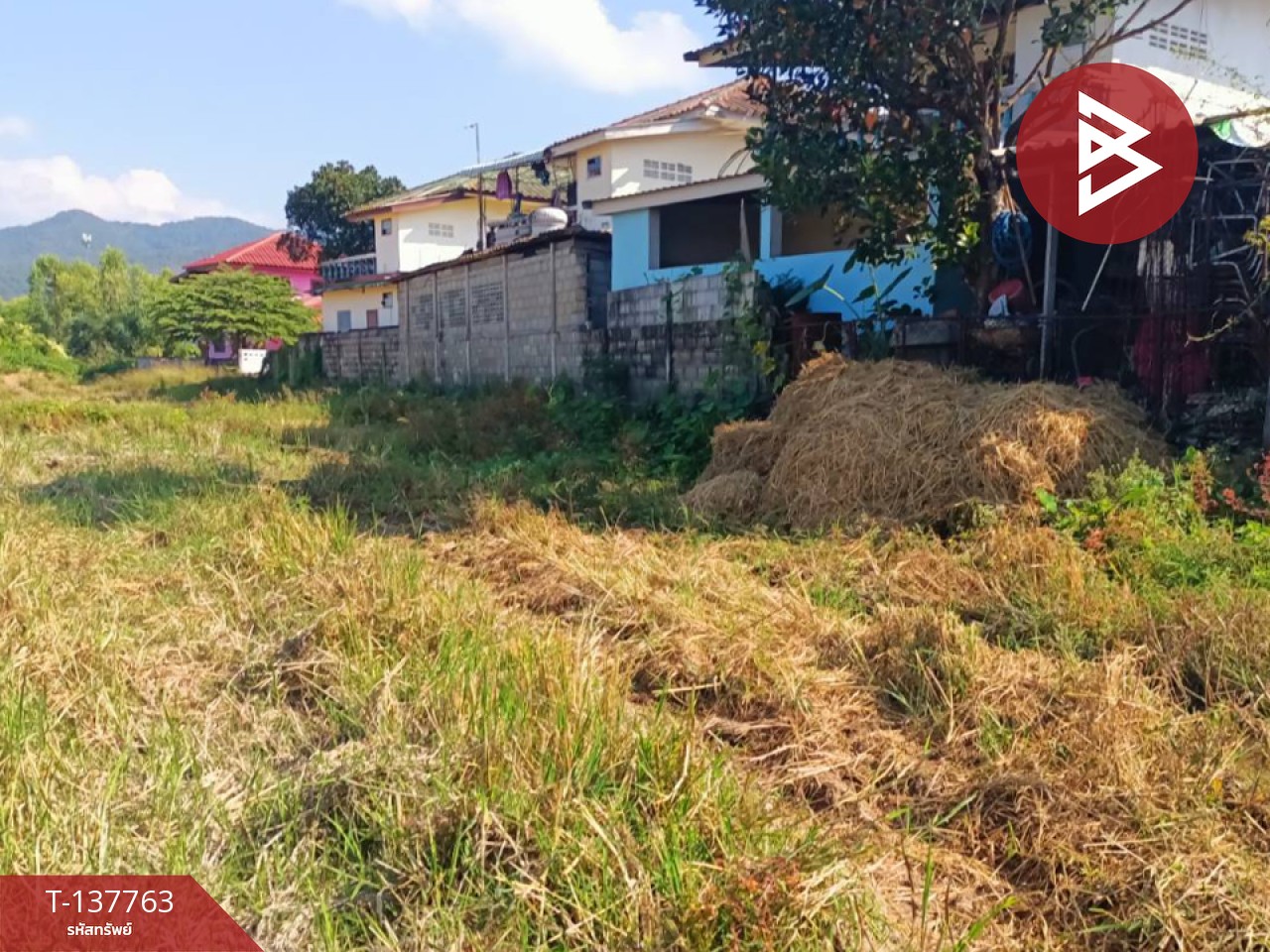 ขายบ้านเดี่ยวพร้อมที่ดิน เนื้อที่ 66 ตารางวา เทิง เชียงราย 9