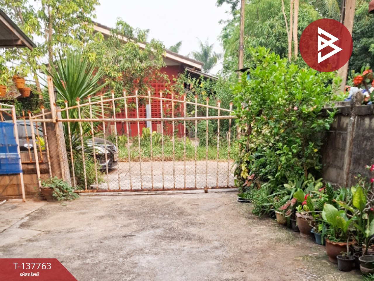 ขายบ้านเดี่ยวพร้อมที่ดิน เนื้อที่ 66 ตารางวา เทิง เชียงราย 5