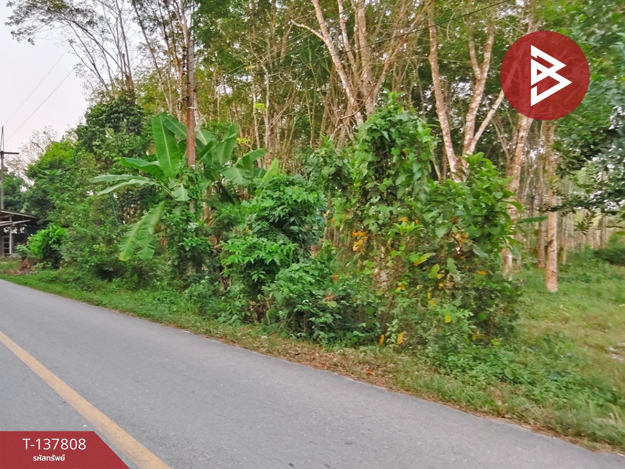 ขายที่ดิน เนื้อที่ 1 ไร่ 2 งาน ติดถนนไชยมนตรี นครศรีธรรมราช ใกล้โรงเรียนหนองบัว 8